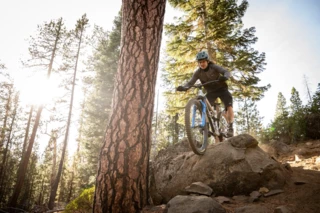 MTB